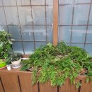 아라물텀벙 이미지