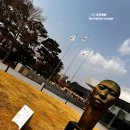 가정1-02-052 | [울산] 시립미술관 헤드 / 바니타스 파우 / 가구 시리즈 / 파도