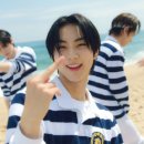 슈플리