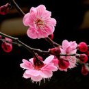 선경종합상사 이미지