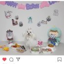 로로베 이미지