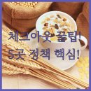 호텔스카이파크 동대문1호점 | 롯데호텔 스카이파크 등 서울 호텔 5곳 조식 체크아웃 정책 서비스 집중 비교 후기