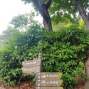 김종철 시비 | 《구덕산 &amp; 시약산》 6월 산행기록
