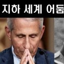 오찡어