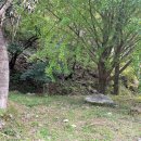 거목민박 이미지