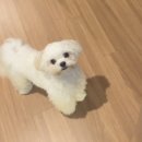 아토,사랑스러워 이미지