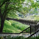 회동주차장 이미지