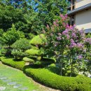 하얀둥지펜션 이미지