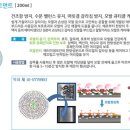 애터미센타 이미지