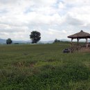 이리목장 이미지