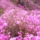 개화2리마을회관 이미지