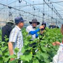 백운농협성수지점 이미지