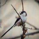 갯골근린공원 이미지