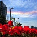 무지개빌딩 이미지