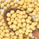 합성동100 이미지