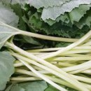 대성야채,과일 이미지