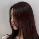 저스틴 헤어 이미지