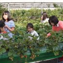 포승농장 이미지