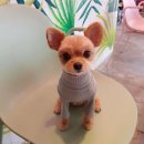 누가꽃이개 이미지