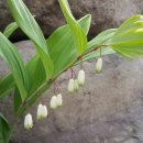 참솔에너지 이미지