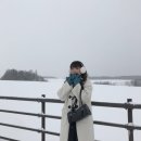 삿포로 여행 필수코스, 비에이투어 시작~!