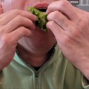 들녘쌈밥 이미지