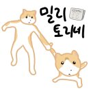 귀여운 동물 짤 모음.gif 이미지