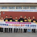유자인 이미지