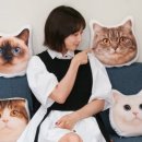 혜빈헤어 이미지