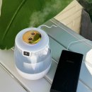 헤몬 에그포그 미니가습기 사무실 초음파 저소음 무드등 이미지