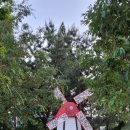 장미공원 화장실 이미지