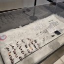 원에스짐 | HOT 오마이걸 트리플에스 솔라 엠디MD굿즈 콘서트 짐보관 패딩보관