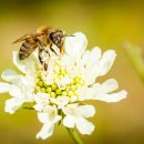 용산-현장-744 이미지