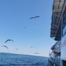 대원3리 이미지