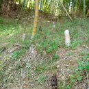 춘하추동민박 이미지