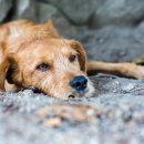 이정미농장 2 이미지