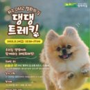 춘천 송암스포츠타운 보조경기장 이미지