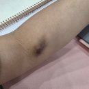 루루바이오 | 2025.09 기록: 아! 행복했던 날들이었다