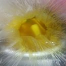 글라라스푼 이미지