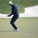 M Golf 이미지