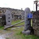 느랏느랏 이미지