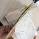 엠테일러 이미지