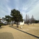 댕그리 | 인천에서 가까운 강아지 동반 애견카페/강아지 운동장 추천 김포 댕그린 후기 !!