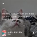 세븐일레븐 연대점 | 회P형의 즐겨찾기