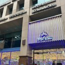 미니돌(MINI DOLL) 이미지