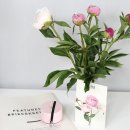 김종석농장 | 꽃정기구독 회원가입하니 100원에?