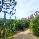 신정호수공원-10 이미지