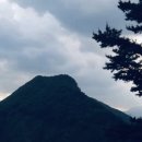 초심으로 돌아가자 (Let's back to the basics) 이미지