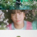 소리나무엔터테인먼트 이미지