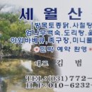 휠링민박 | 경기도 양평 숙박 가능 펜션[방목 토종닭. 사철탕] 풀장 완비 세월 산장 방문 후기